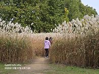 25,10,30 목,쉼여걷기는 ..