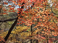 2025,11, 06 (목) 청계..