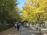 2025.10.28. 화백걷기 1..