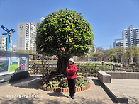 2026년4월7일(화) 화백걷..