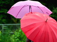 10월 정기걷기 새이령, ..