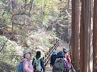 2025.11.6(목) 청계산 둘..