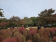 25.10.30[목/쉼여걷기] ..