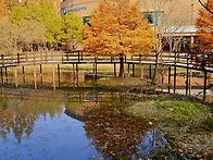 25.11.13[목/쉼여걷기] ..