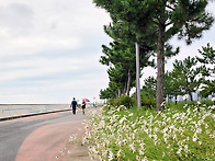 Re: 25,10,18 월미,영종..