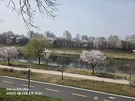 ＜다 함께 혼자 걷기 - ..