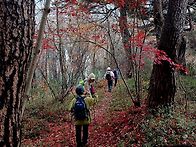 25년11월25일 화백걷기 제..