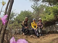 2026.04.03(금)벚꽃이 없..