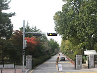 25,10,30 목,쉼여걷기는 ..