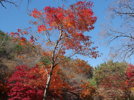단양 느림보 유람길(11/..