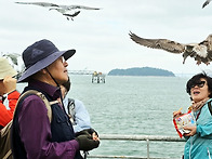 25,10,18 월미,영종 씨사..