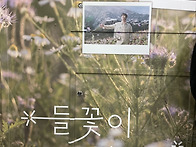 2025년11월15일(토) 단양..