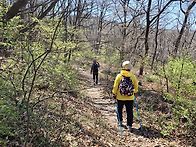 2026,0407(쉼여걷기)벚꽃..