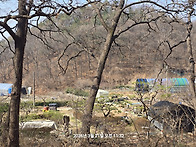 3월21일《걷기는 언제나 ..