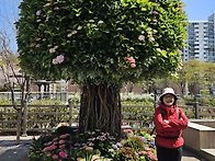 2026년4월7일(화) 화백걷..