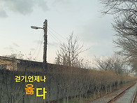 [걷기는언제나옳다81] 2..