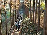 11월 28일 양재천 겨울 하..