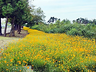 Re: Re: 25,10,18 월..