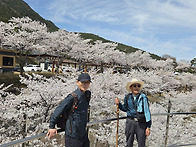 산청 동의보감촌3