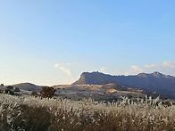 황매산