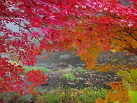 도봉문인협회 가을문학기행..