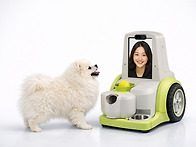 유빈이가 만든 반려견 AI..