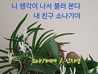 소나기에게 / 신지..