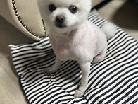 일기처럼 한글 올림니다