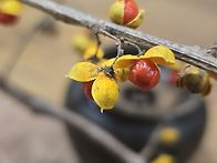 ♡가을이 익으려면 좀 기다..