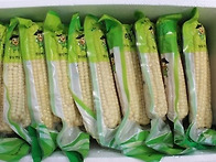 괴산 대학찰 냉동 옥수수 ..