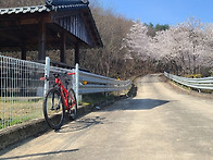 4월 5일(일) 용담호 임도..