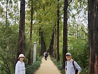 지난 일요일 서울둘레길