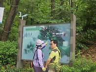 서울둘레길 호암산코스
