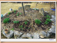 3월 27일 농장의 아침