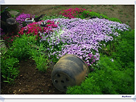 힘과 능력을 주신 분을