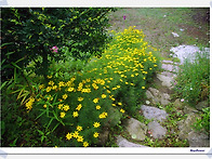 주님께 온전히 맡긴다는 ..