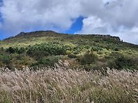 무등산 트레일 회원님들과..