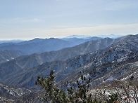 뎍유산 눈이쬐금..