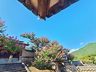 안동 병서서원
