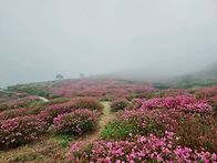 황매산!(합천!)