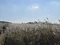 경주.무장산