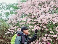 황매산!(합천!)