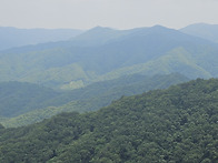 영월 마대산(馬垈山) 25..
