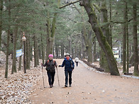 속리산_세조길_251220