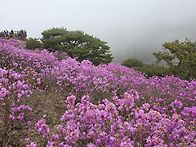 강화도 고려산, 혈구산