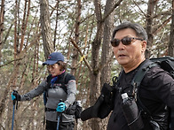 아직 이른봄인 양구 봉화산..