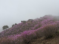 강화 고려산,혈구산