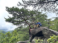 단양 도락산 정기산행