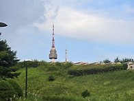 8월8일 남산 노울