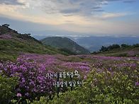 2026년5월1일 금..